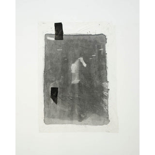 Cailyn Forrest | Photomedia | 200520252