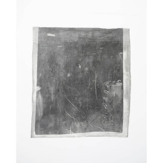 Cailyn Forrest | Photomedia | 200520251