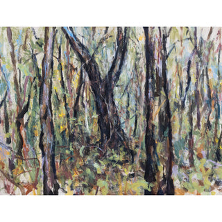 Elena Larkin | Drawing | A time to ramble on (Terrey Hills, Durramurragal land)